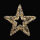 Stern, aus Metall/PET gold, mit LED, warmwei, 60cm
